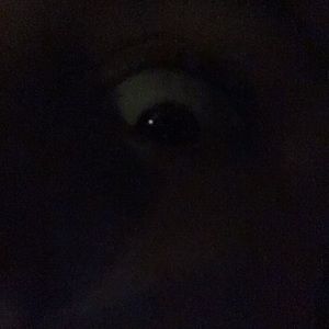 Meet your Posher, Donald